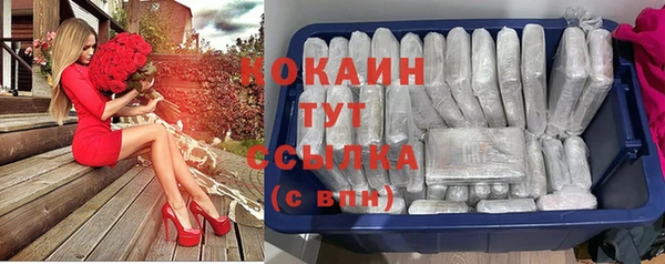 гашик Пролетарск